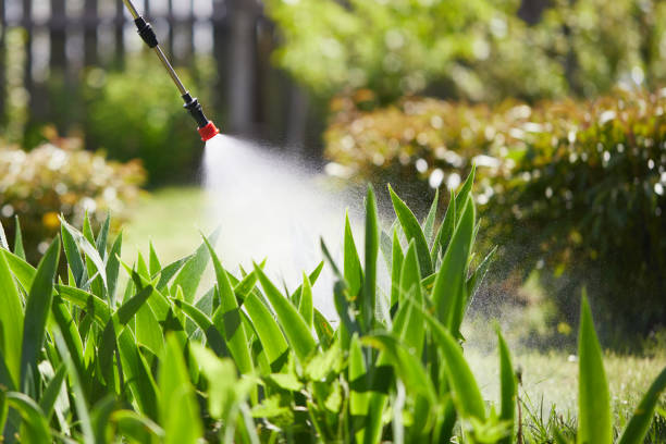 24/7 Emergency Mosquito Control experts in Greenfield, IN